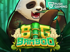 Free slots casino games to play39